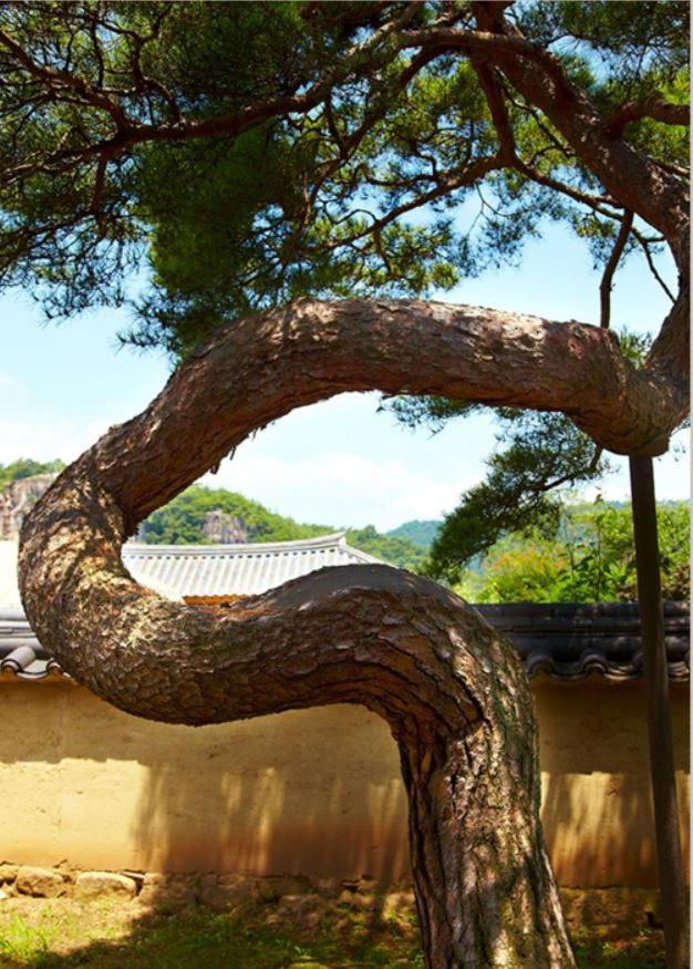 安东市Bukchondaek住宿加早餐旅馆 外观 照片